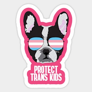 PROTECT TRANS KIDS - Boston Terrier Dog Trans Transgender Pride Flag Sticker